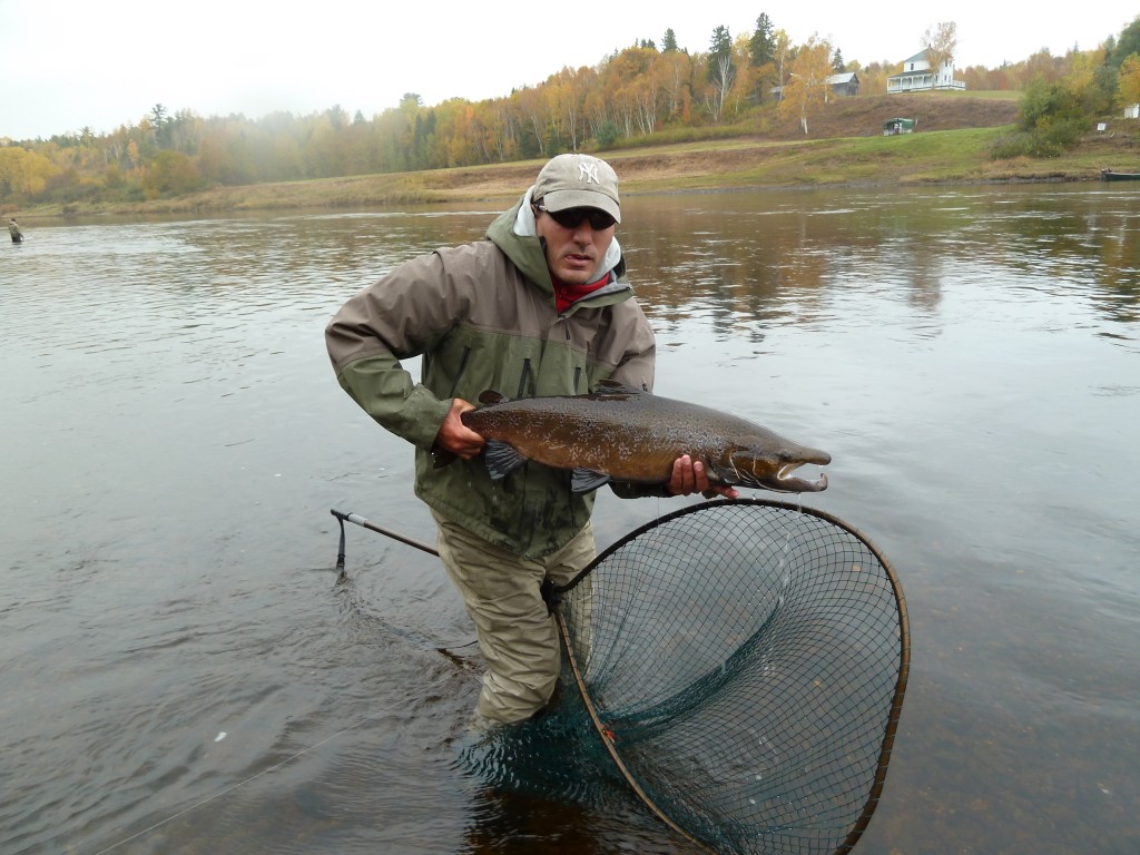 Fall cock salmon with Papa's Rock in the background.