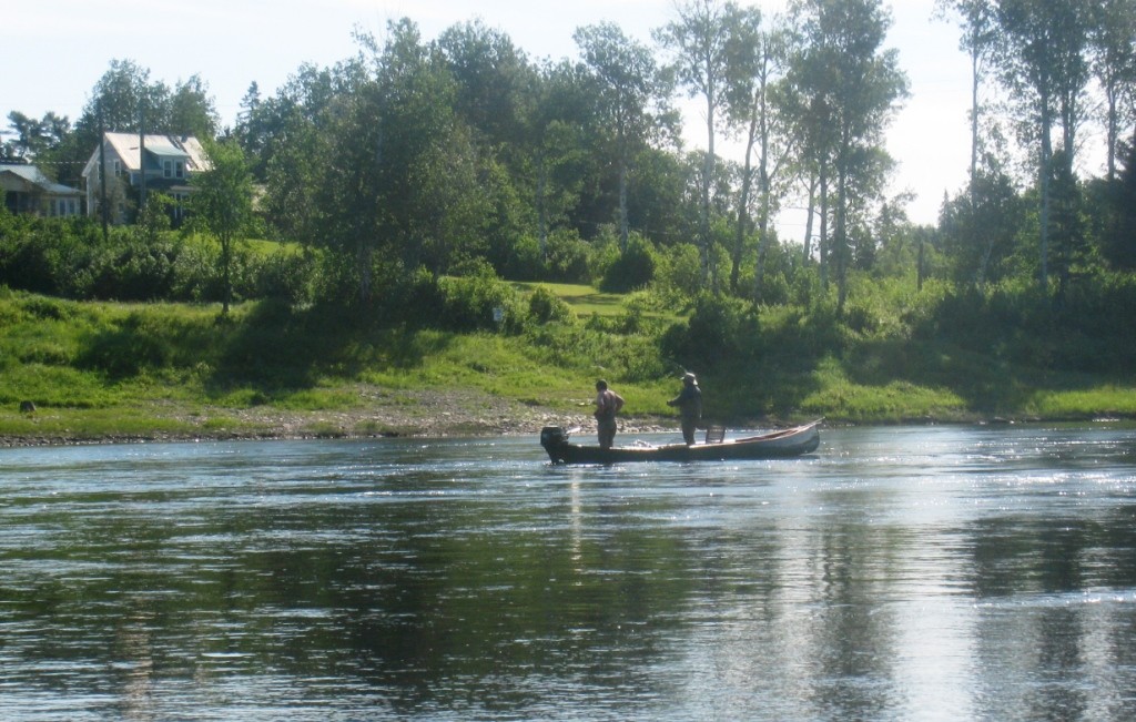 Angler and guide with a salmon on the line.  Click to enlarge.