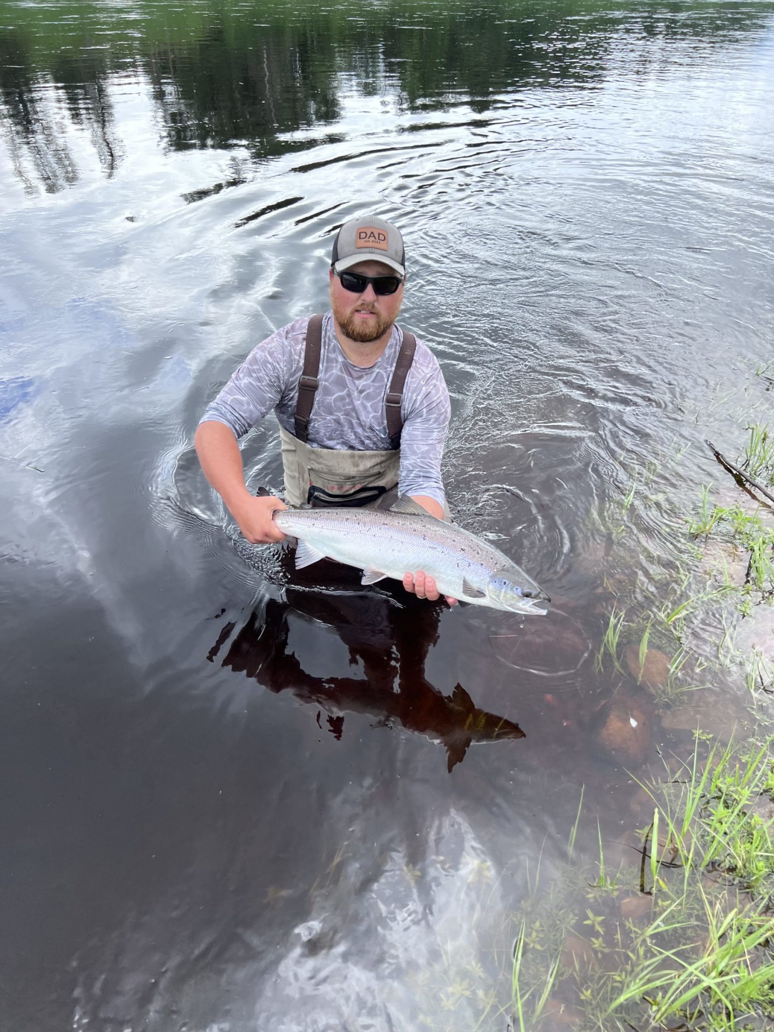 Miramichi Atlantic Salmon Report