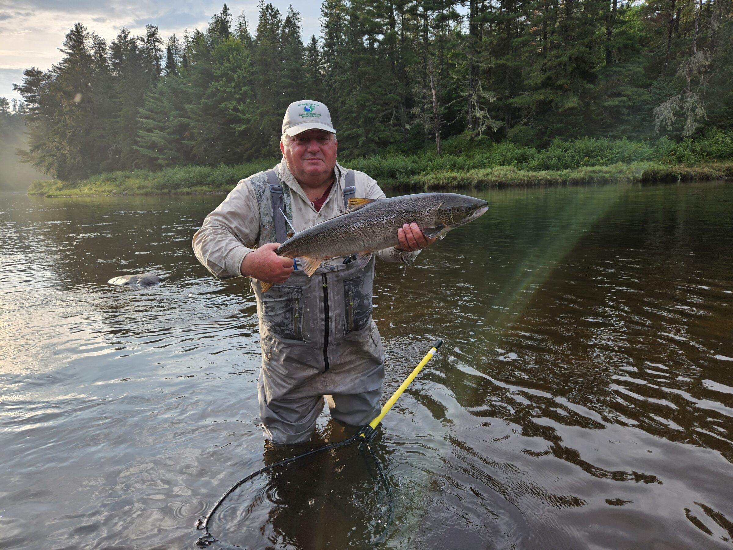 Miramichi Atlantic Salmon Report