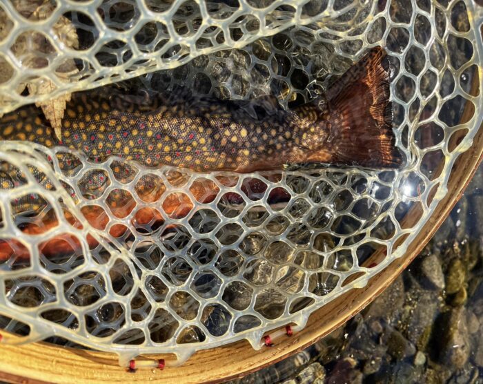 Kingfish River Guides Registered Maine Guide Tom Towle LS