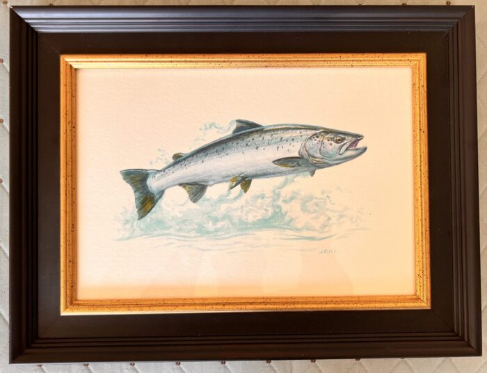 Silver Salmon Painting by John Rice LS